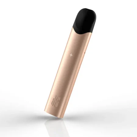 KADINAL STICK CHAMPAGNE GOLD (เครื่องเปล่า)