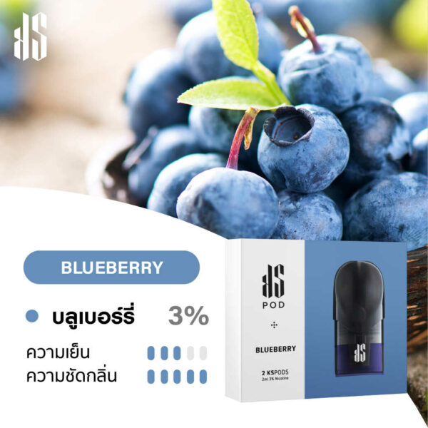 KARDINAL STICK FLAVOR POD BLUEBERRY